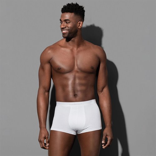 Boxer 