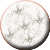 o17